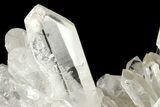 Clear Quartz Crystal Cluster - Brazil #253291-2